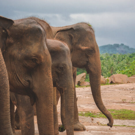 Jak przeżyć pierwszy dzień w Azji