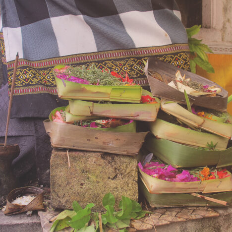 Dziurawiec – naturalne wsparcie dla ciała i umysłu