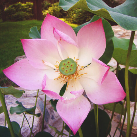 Zima w odcieniach ciszy. O tym, jak kolor wpływa na nasze samopoczucie