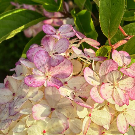 Jesienne rytuały self-care: jak zwolnić i nakarmić duszę, gdy dni stają się krótsze