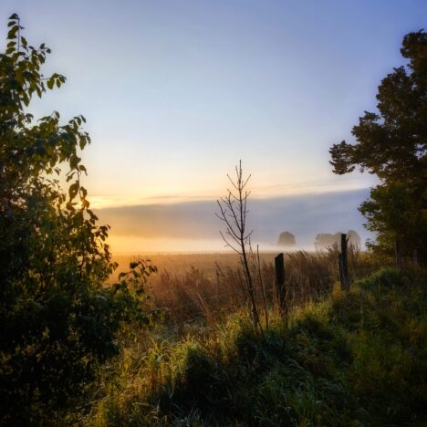 Hortikuloterapia – moc ogrodu w terapii i codziennym życiu