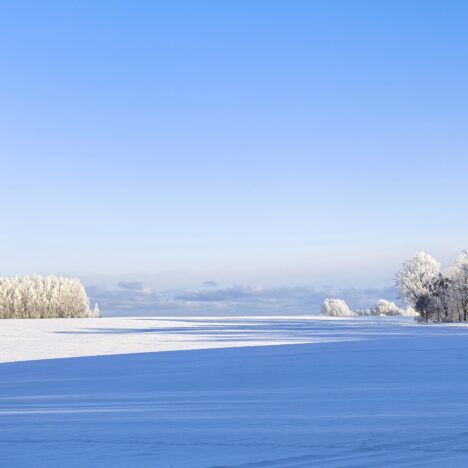 Oddech natury – o leczniczej mocy muzyki relaksującej